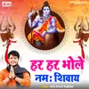 About Har Har Bhole Namah Shivay Song